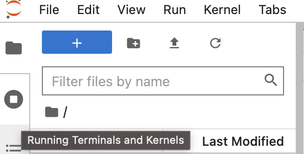 show running kernels